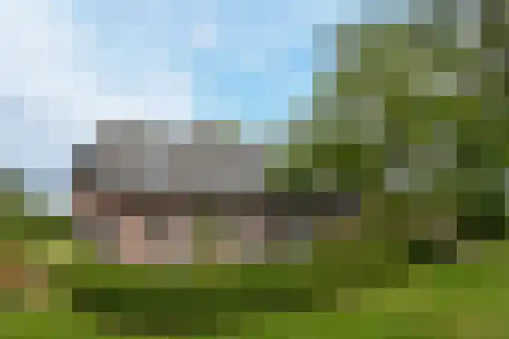 Termeidesteeg 1 Oirschot thumbnail 38