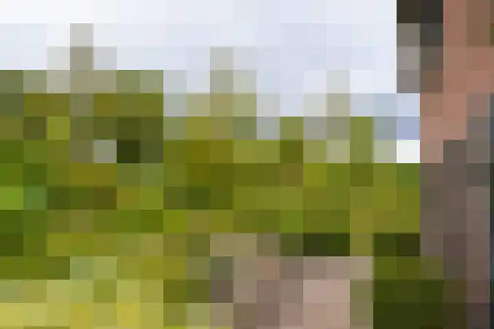 Termeidesteeg 1 Oirschot thumbnail 41