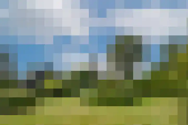 Termeidesteeg 1 Oirschot thumbnail 42