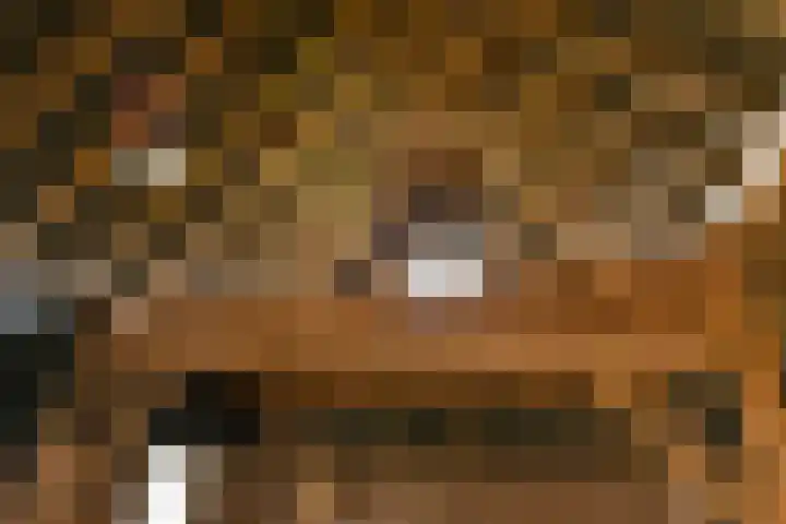 Termeidesteeg 1 Oirschot thumbnail 45