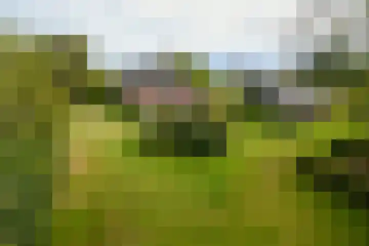 Termeidesteeg 1 Oirschot thumbnail 48