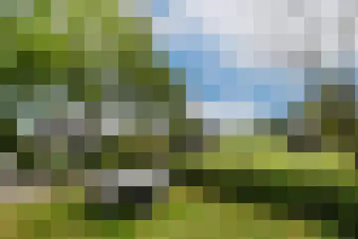 Termeidesteeg 1 Oirschot thumbnail 49
