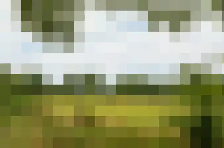 Termeidesteeg 1 Oirschot thumbnail 50