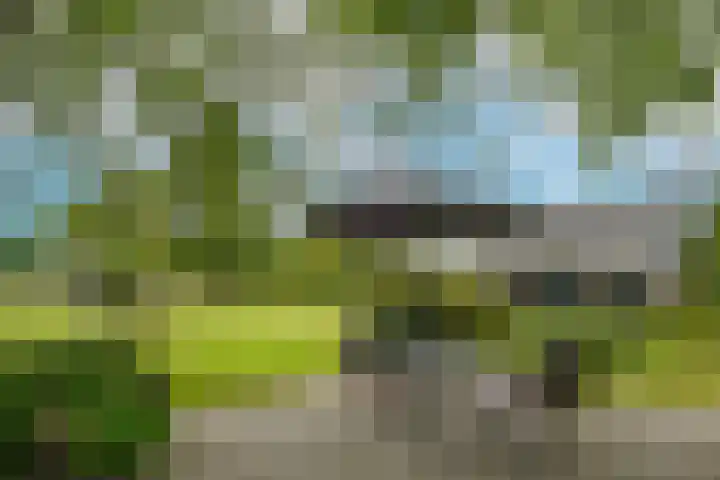 Termeidesteeg 1 Oirschot thumbnail 51