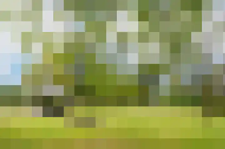 Termeidesteeg 1 Oirschot thumbnail 52