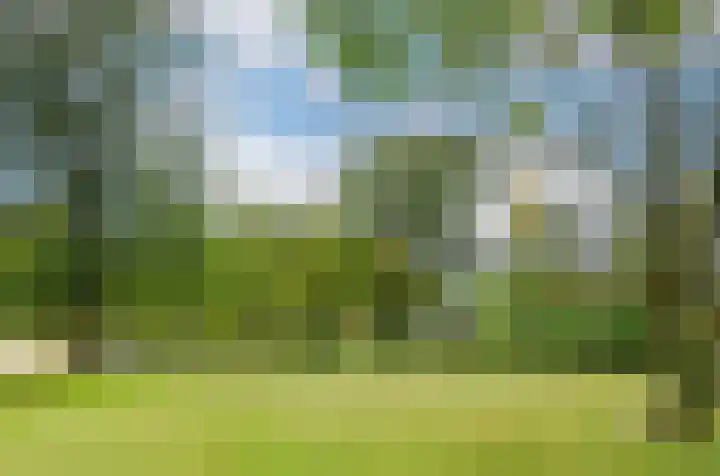 Termeidesteeg 1 Oirschot thumbnail 53