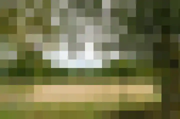 Termeidesteeg 1 Oirschot thumbnail 54