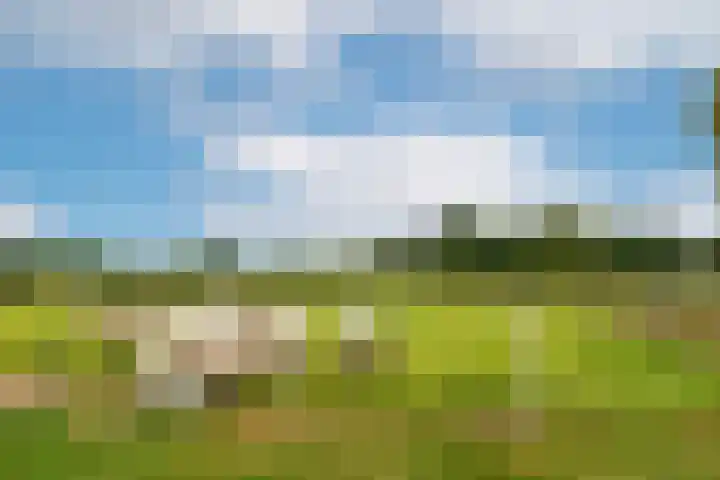 Termeidesteeg 1 Oirschot thumbnail 56