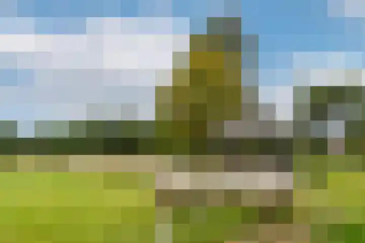 Termeidesteeg 1 Oirschot thumbnail 57