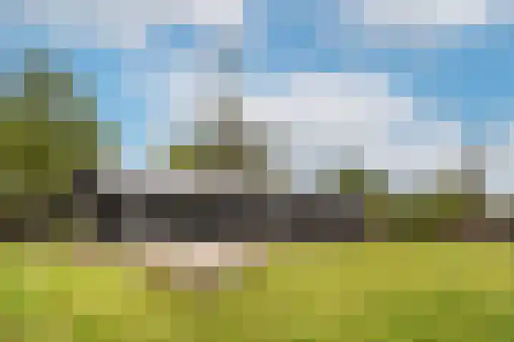 Termeidesteeg 1 Oirschot thumbnail 59