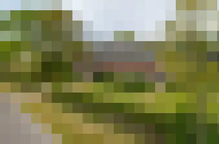 Termeidesteeg 1 Oirschot thumbnail 60