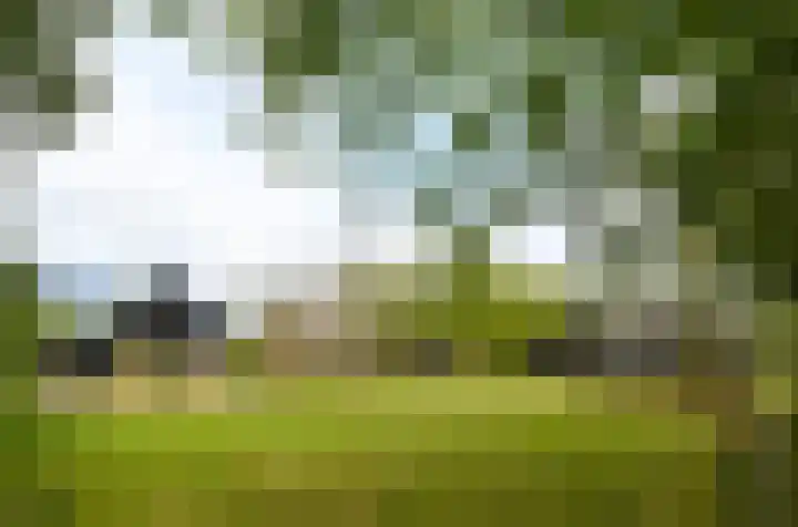 Termeidesteeg 1 Oirschot thumbnail 61