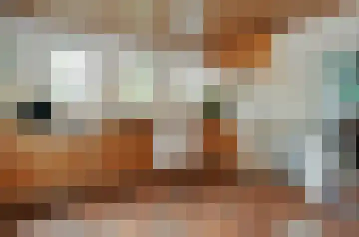 Termeidesteeg 1 Oirschot thumbnail 7