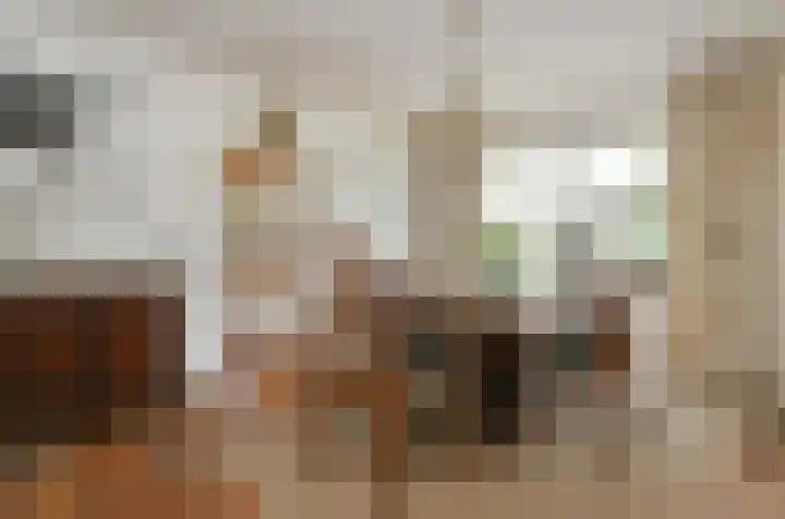 Termeidesteeg 1 Oirschot thumbnail 8