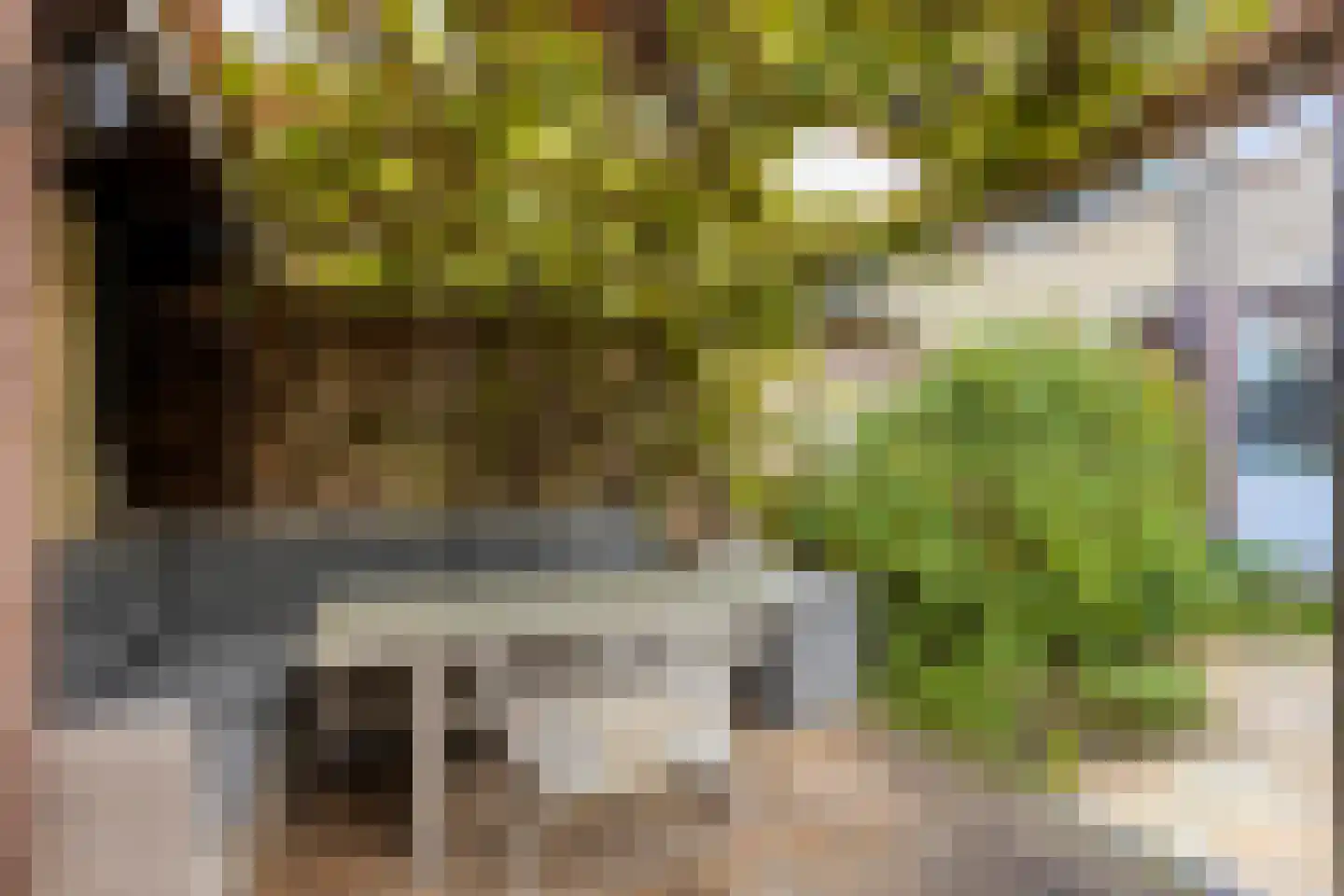 Termijen 103 Heiloo thumbnail 14