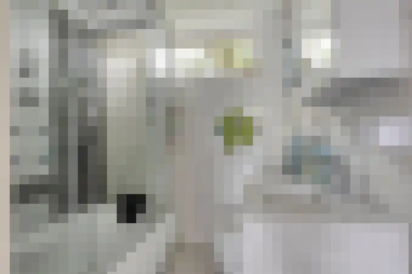 Termijen 103 Heiloo thumbnail 22