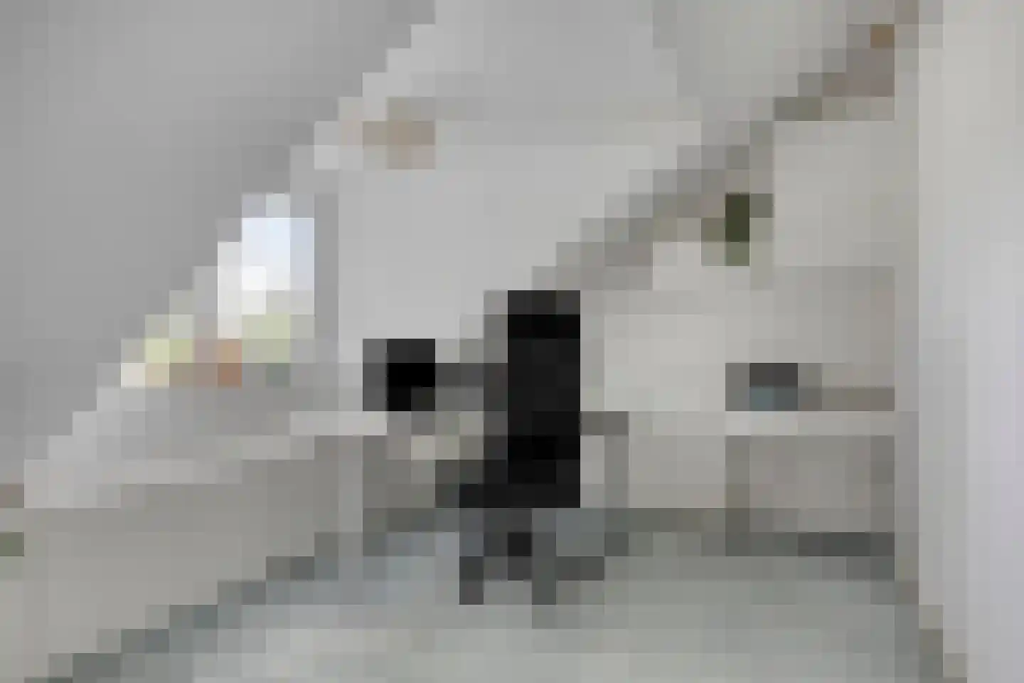 Termijen 103 Heiloo thumbnail 27