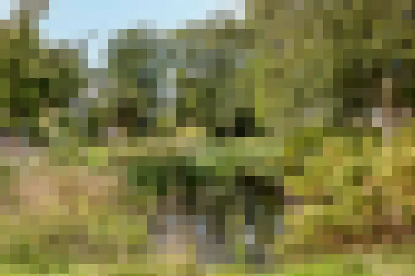 Termijen 103 Heiloo thumbnail 33