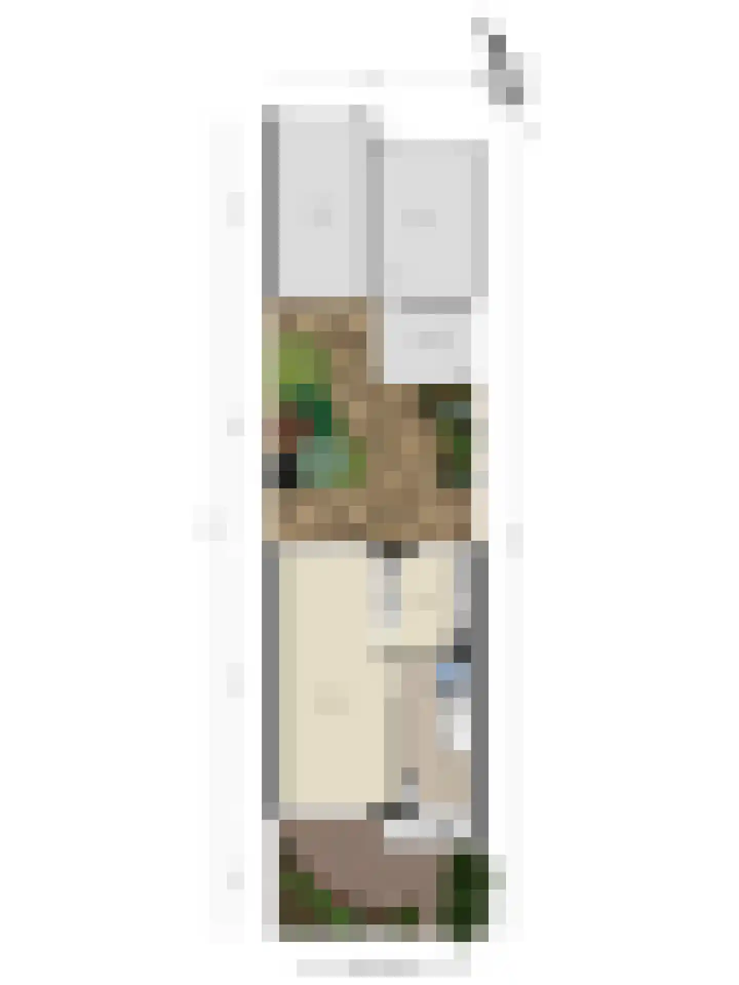 Termijen 103 Heiloo thumbnail 36