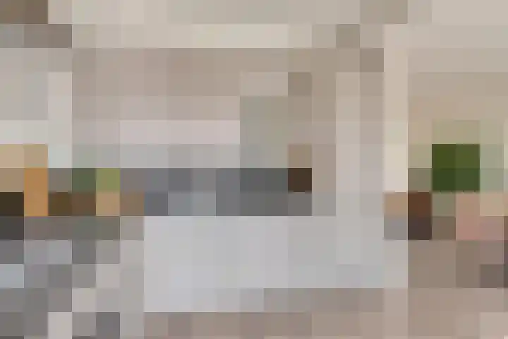 Termijen 107 Heiloo thumbnail 12