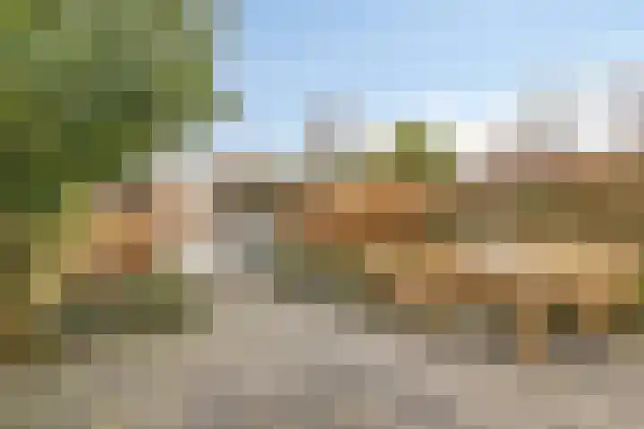 Termijen 107 Heiloo thumbnail 16