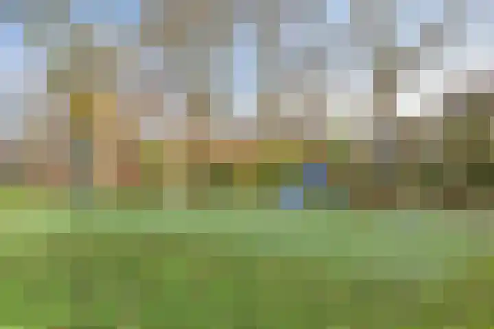 Termijen 107 Heiloo thumbnail 31