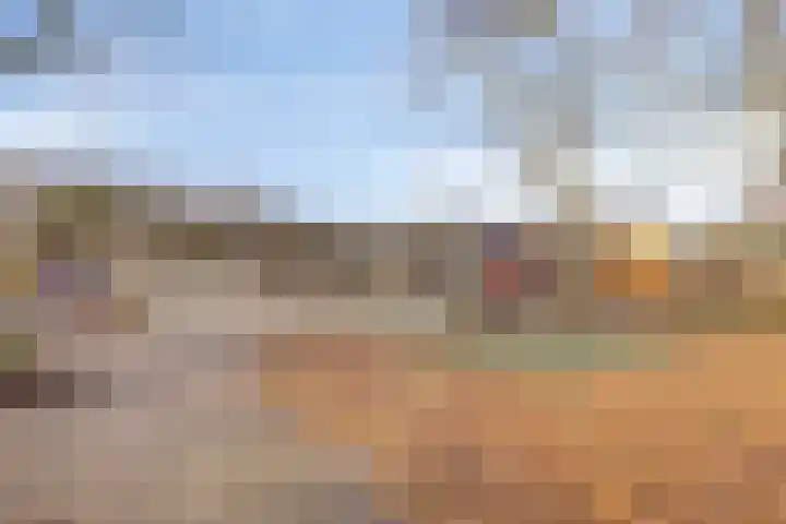 Termijen 107 Heiloo thumbnail 32