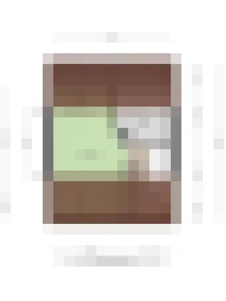 Termijen 107 Heiloo thumbnail 37