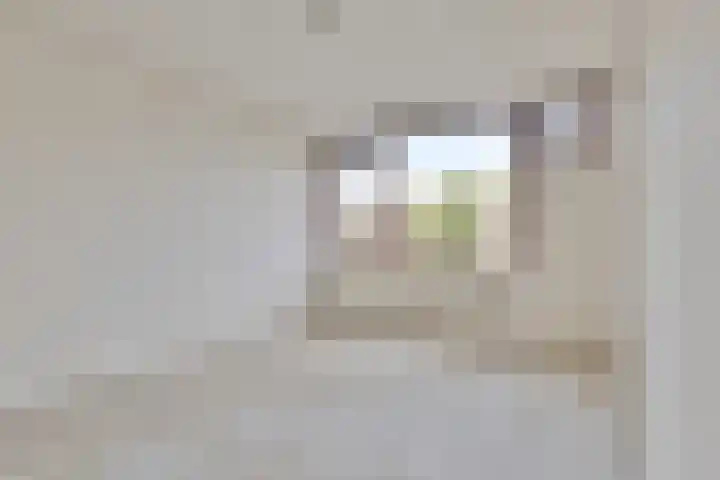 Termijen 182 Heiloo thumbnail 12