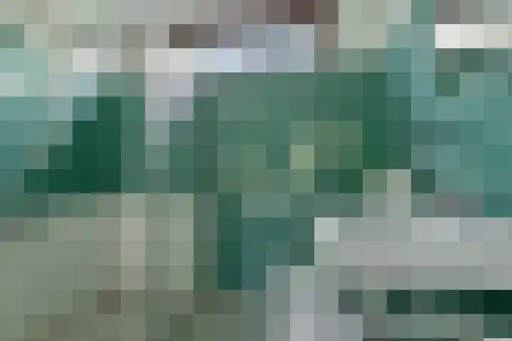 Termijen 182 Heiloo thumbnail 14