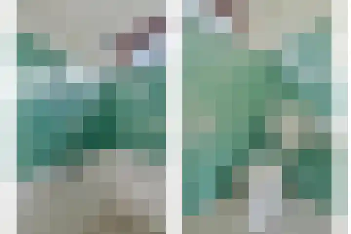 Termijen 182 Heiloo thumbnail 15