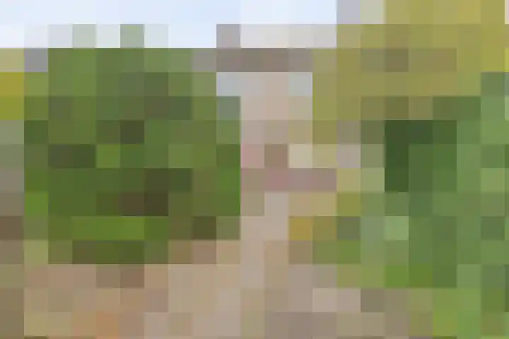 Termijen 182 Heiloo thumbnail 19