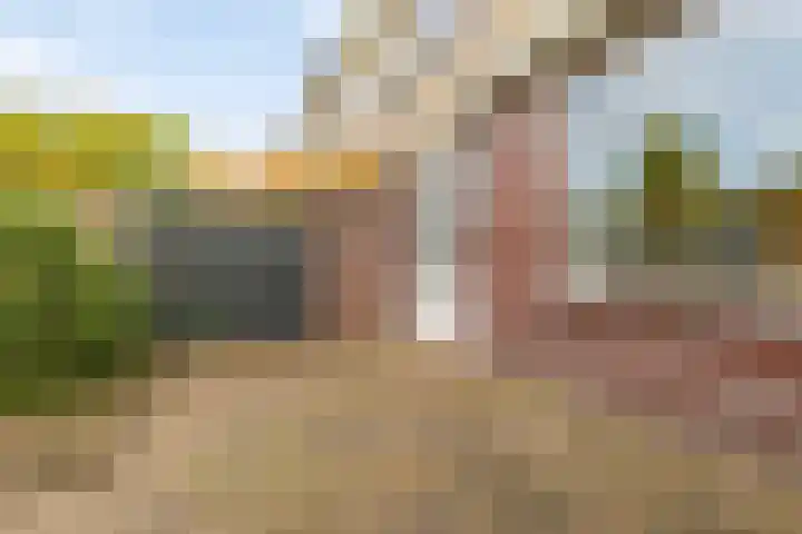 Termijen 182 Heiloo thumbnail 20