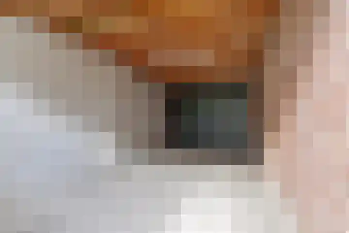 Termijen 182 Heiloo thumbnail 21