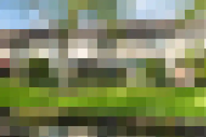 Termijen 182 Heiloo thumbnail 23