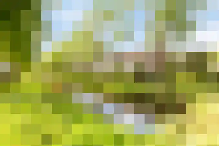 Termijen 182 Heiloo thumbnail 24