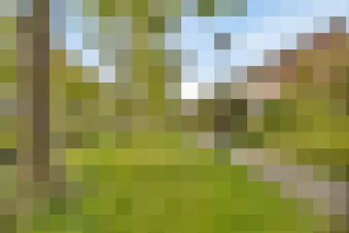 Termijen 182 Heiloo thumbnail 25