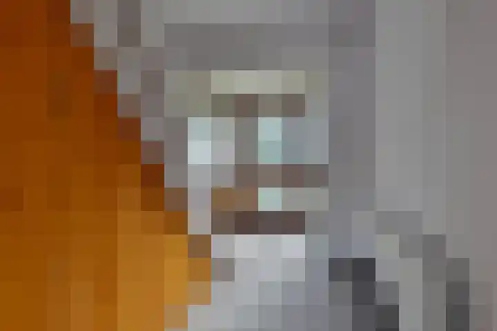 Termijen 182 Heiloo thumbnail 5