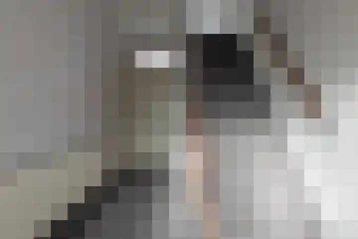 Termijen 182 Heiloo thumbnail 6