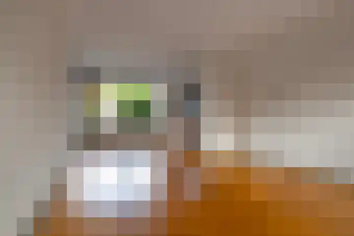 Termijen 182 Heiloo thumbnail 8