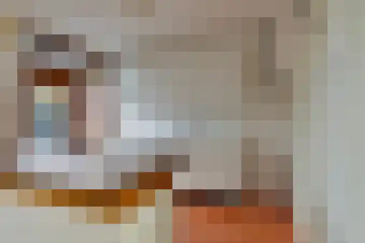 Termijen 182 Heiloo thumbnail 9