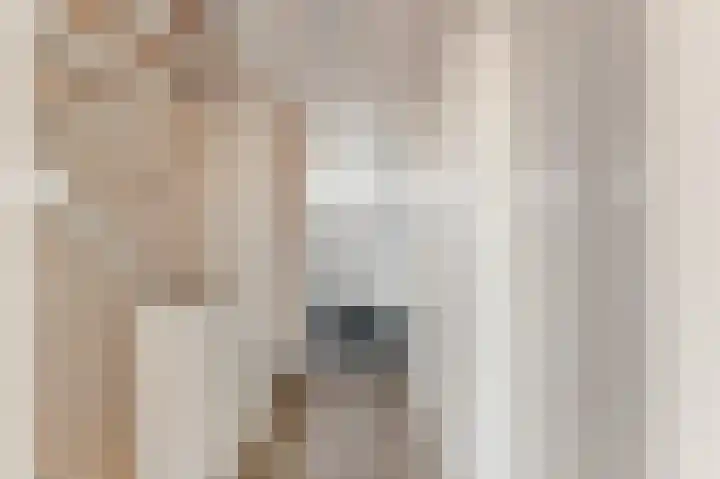 Termijen 28 Heiloo thumbnail 32