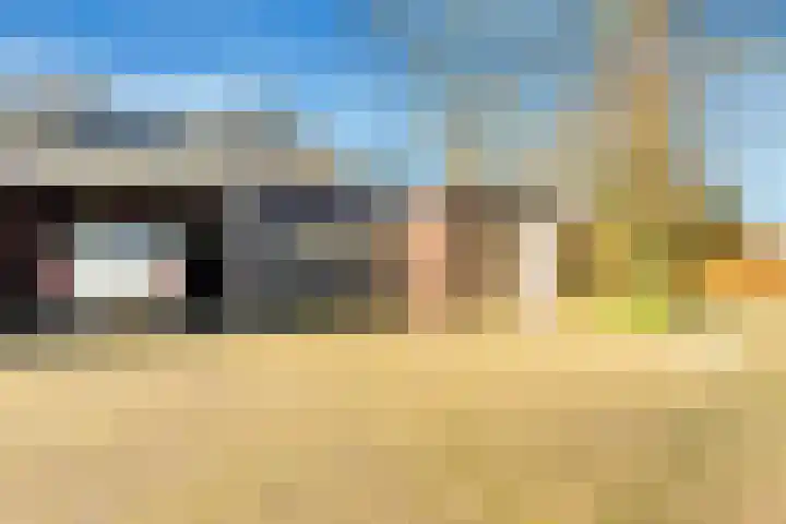 Termijen 28 Heiloo thumbnail 41