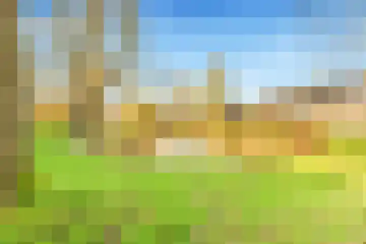 Termijen 28 Heiloo thumbnail 43