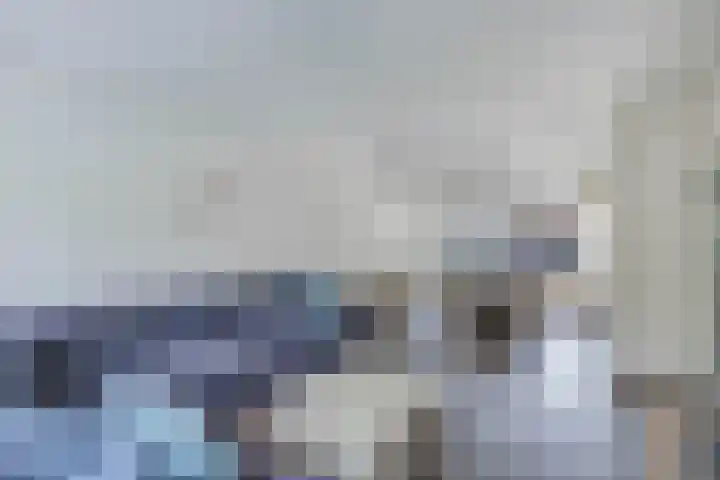 Termijen 36 Heiloo thumbnail 10