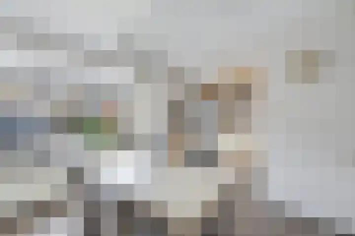 Termijen 36 Heiloo thumbnail 13