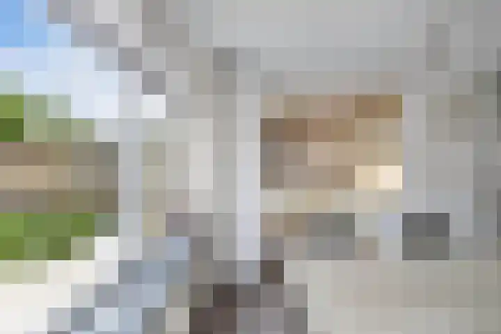 Termijen 36 Heiloo thumbnail 14