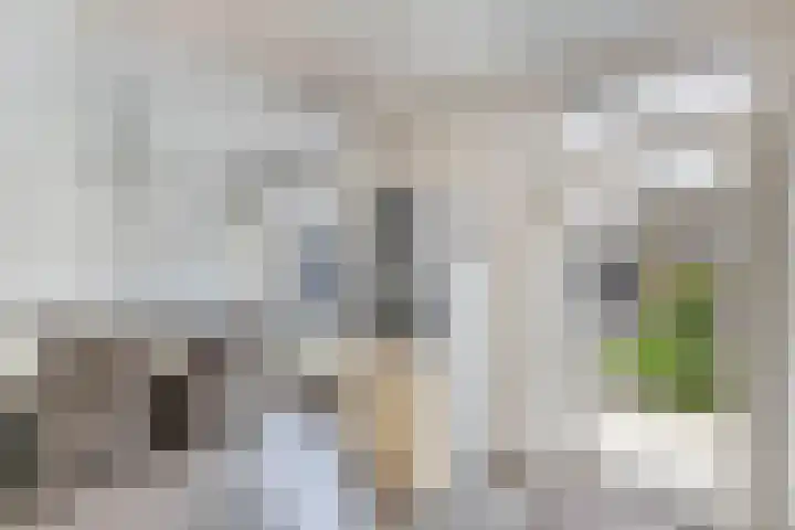 Termijen 36 Heiloo thumbnail 17
