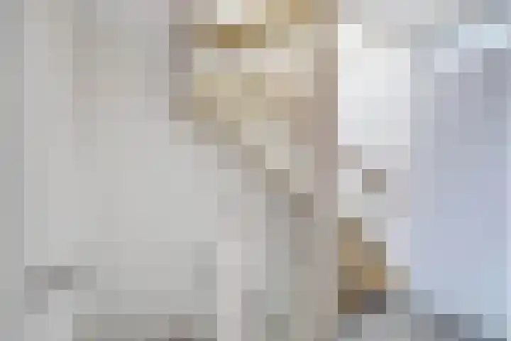 Termijen 36 Heiloo thumbnail 22