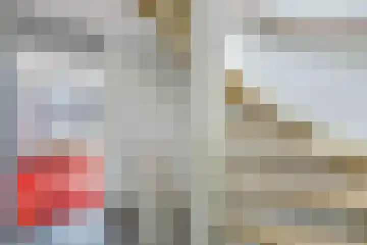Termijen 36 Heiloo thumbnail 23